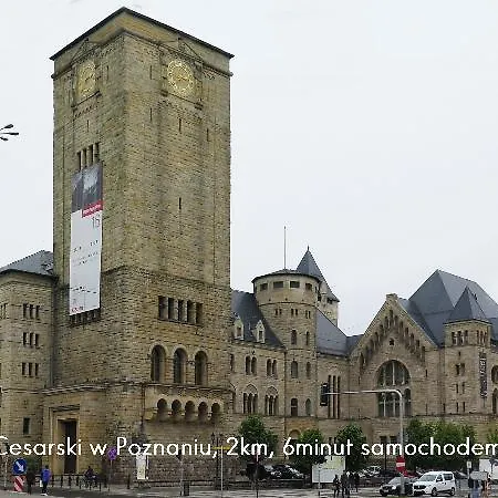 شقة Homely Place Serce Poznania - Stary Rynek - Parking بوزنان